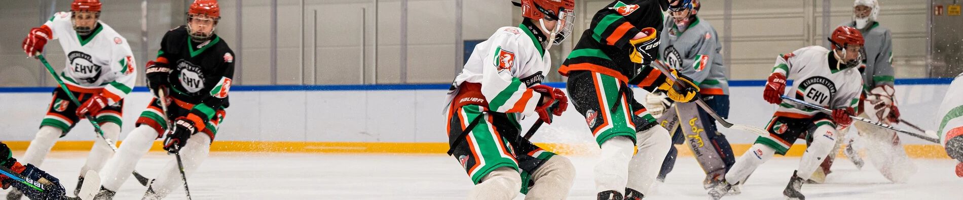 Service - Vereinsservice Münsterland